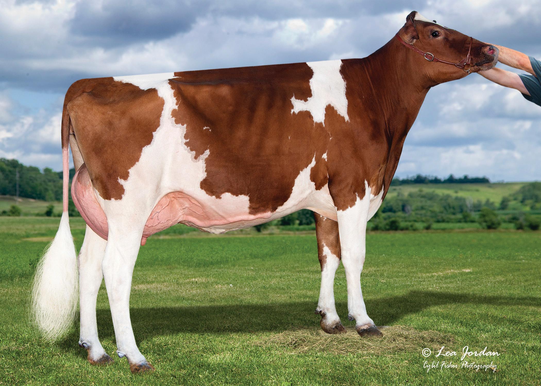 REED-RED TRENT-WAY REED-RED-ET